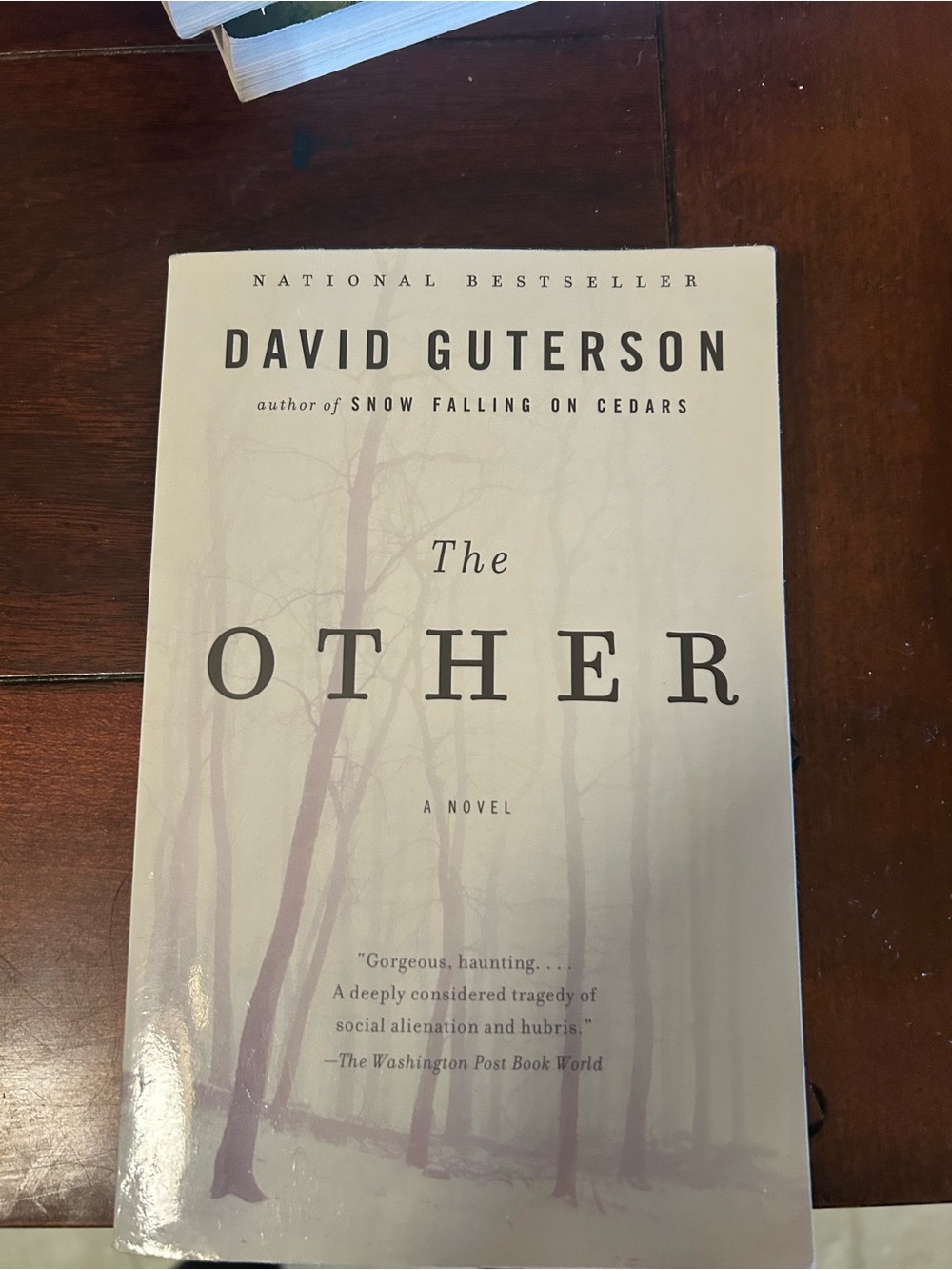 David Guterson "The Other" Paperback Novel - Cream Cover